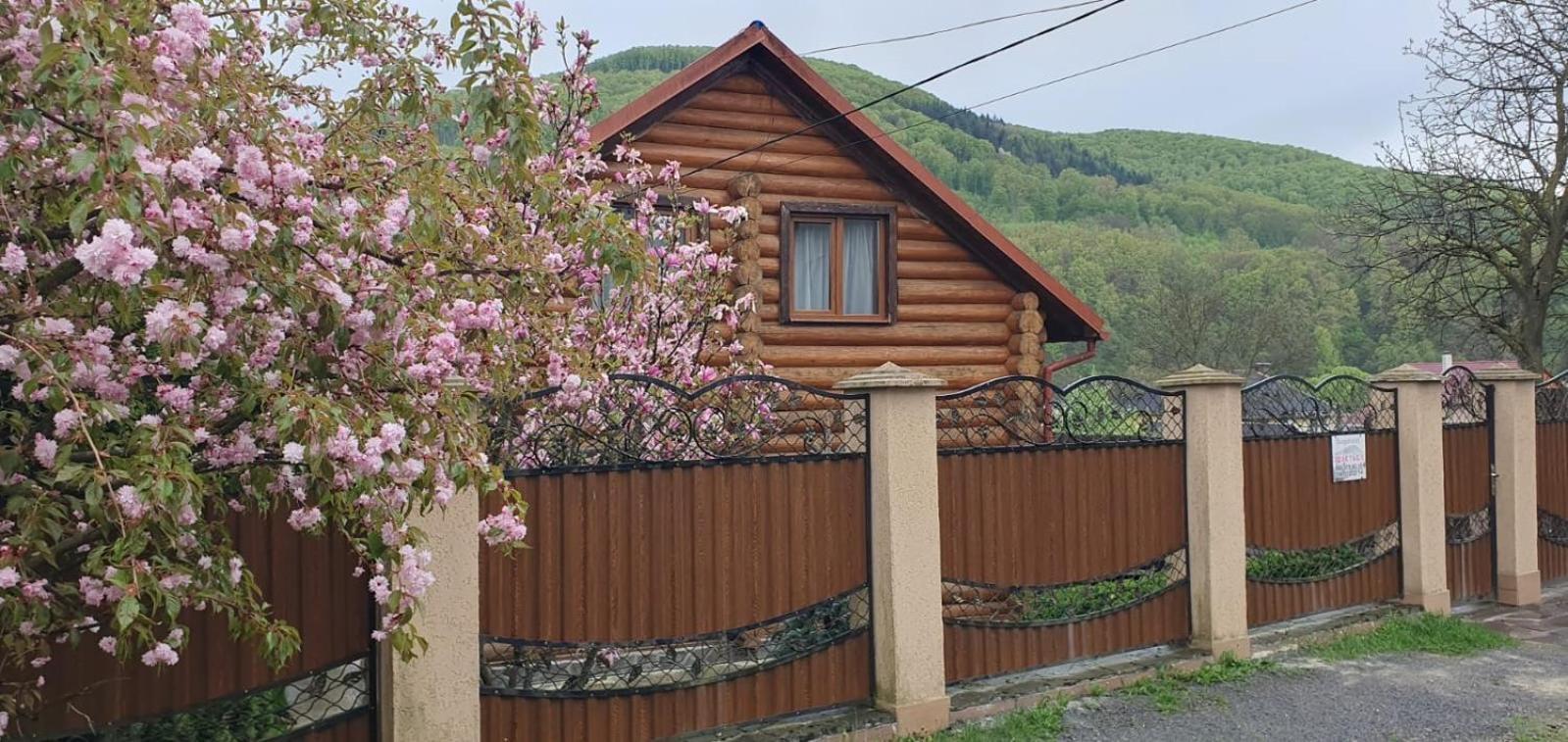 Smerekovyi Dvir Polyana  Ngoại thất bức ảnh